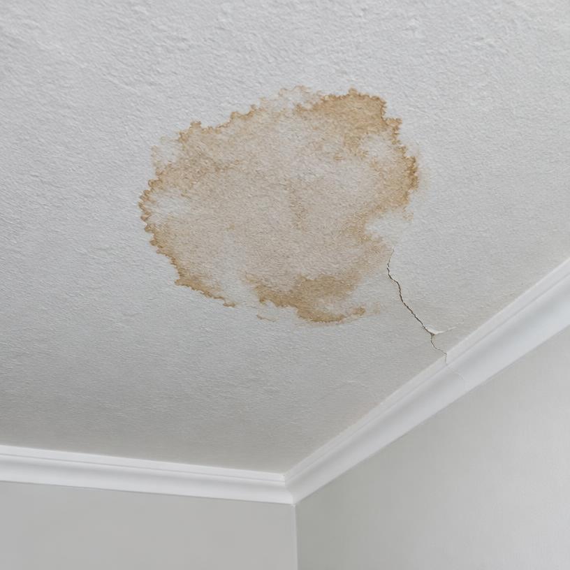 Photo attached to the ceiling repair request